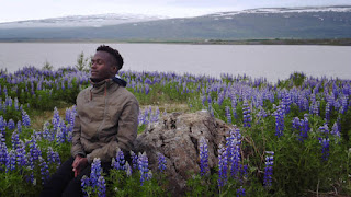 Holistic Yoga: Meditation in Nature A man engaging in a holistic yoga practice by meditating outdoors among lupine flowers, with the serene backdrop of a lake and mountains to deepen his mindfulness and connection to nature."