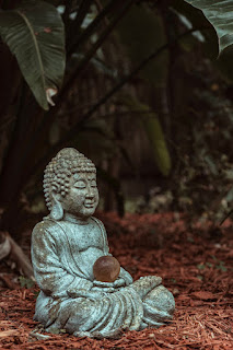 Individual practicing Vipassana meditation for deep insight