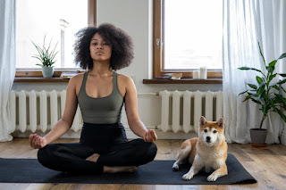 Kabosu practicing love and kindness meditation