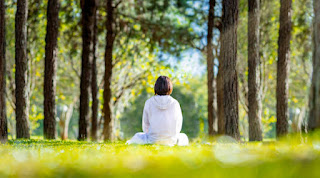 A person meditating in a quiet forest, surrounded by trees and natural light, reflecting mindfulness and inner peace in nature.