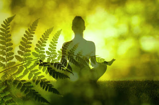 The silhouette of a meditating figure layered with fern leaves, showcasing a harmonious blend of mindfulness and nature's tranquility.