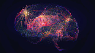 Meditation and Brain Health: Rewiring Neural Pathways for Longevity