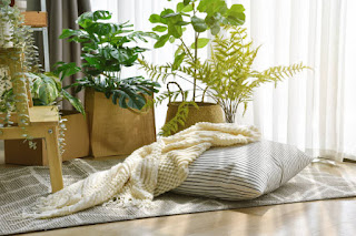 Restorative Yoga: A Gentle Practice for Insomnia