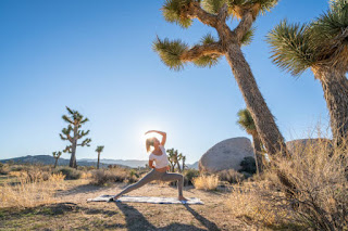 A person practicing Revolved Triangle Pose outdoors, twisting their body and focusing on breath.