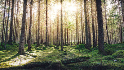 Adapting to Change: How to Adjust Your Goals Without Giving Up