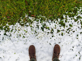 The Transition from Winter to Spring: Yoga for Renewal and Growth