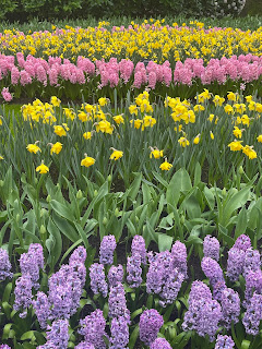 Spring Into Balance: Yoga for Grounding and Growth During Seasonal Transitions