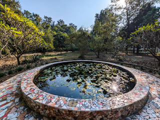 The Nature of Suffering: How Vipassana Reveals Dukkha