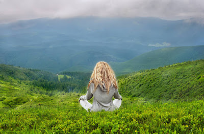 Insight and Liberation: The Final Goal of Vipassana Practice