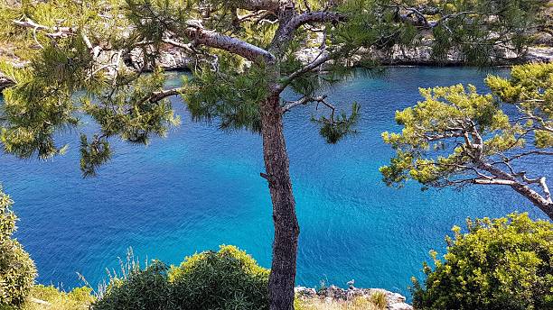 Turiya—a state of consciousness said to underlie and transcend waking, dreaming, and deep sleep.