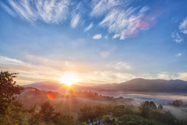 concept of the guru in yoga