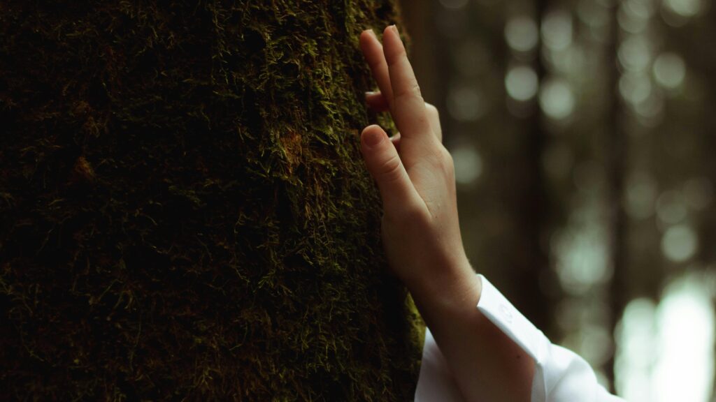 Person grounding barefoot outdoors, touching trees symbolizing safe energy integration.