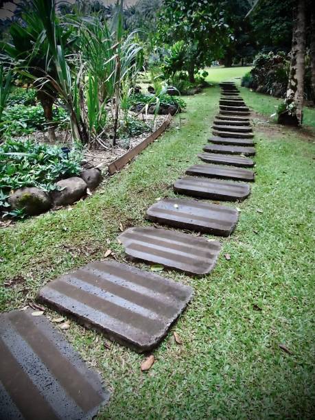 A peaceful stone path leading through lush greenery, symbolizing the journey of silent walking meditation and grounding through movement.
